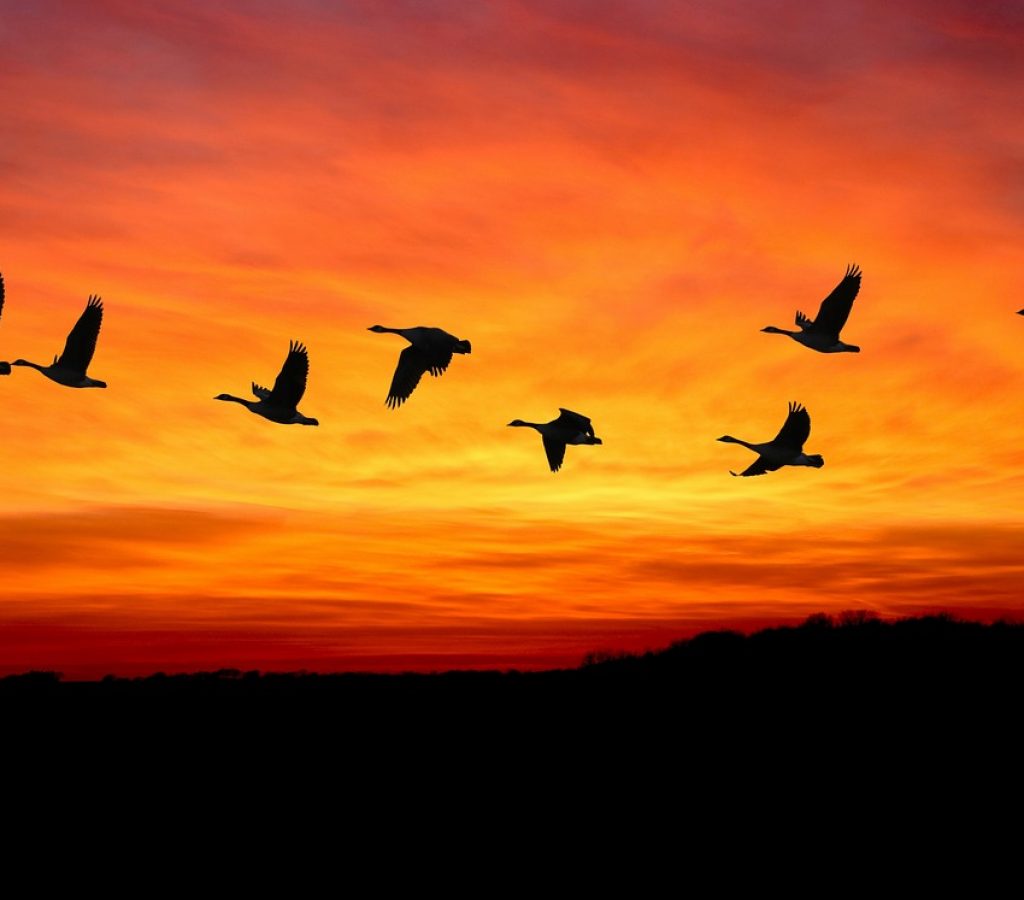 Desafío vivencial de Juegos del Ser con juegos terapéuticos