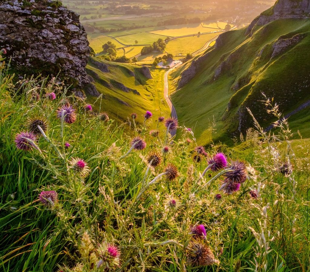 el poder de agosto. desafío-juegos-terapéuticos